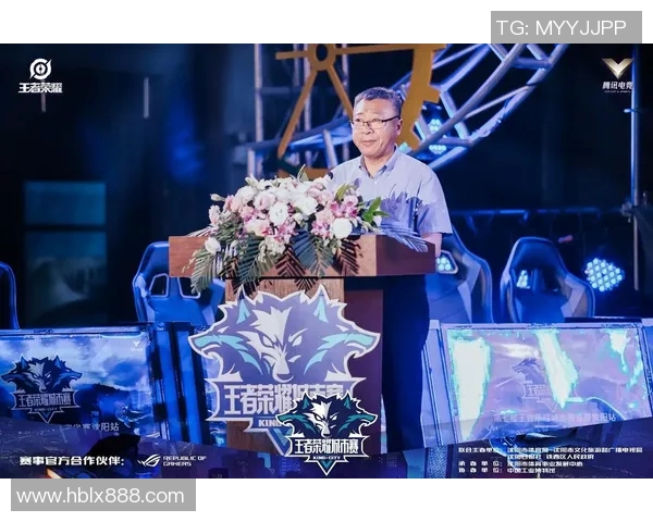 陈伟畅谈王者荣耀成功秘诀揭秘电竞行业新趋势与挑战